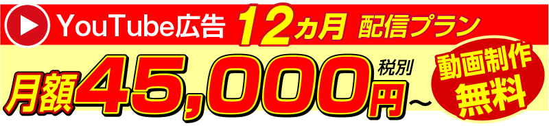 YouTube広告12ヵ月配信プラン
月額45,000円
動画制作費無料