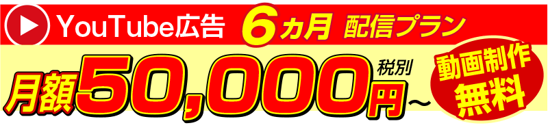 YouTube広告6ヵ月配信プラン
月額50,000円
動画制作費無料