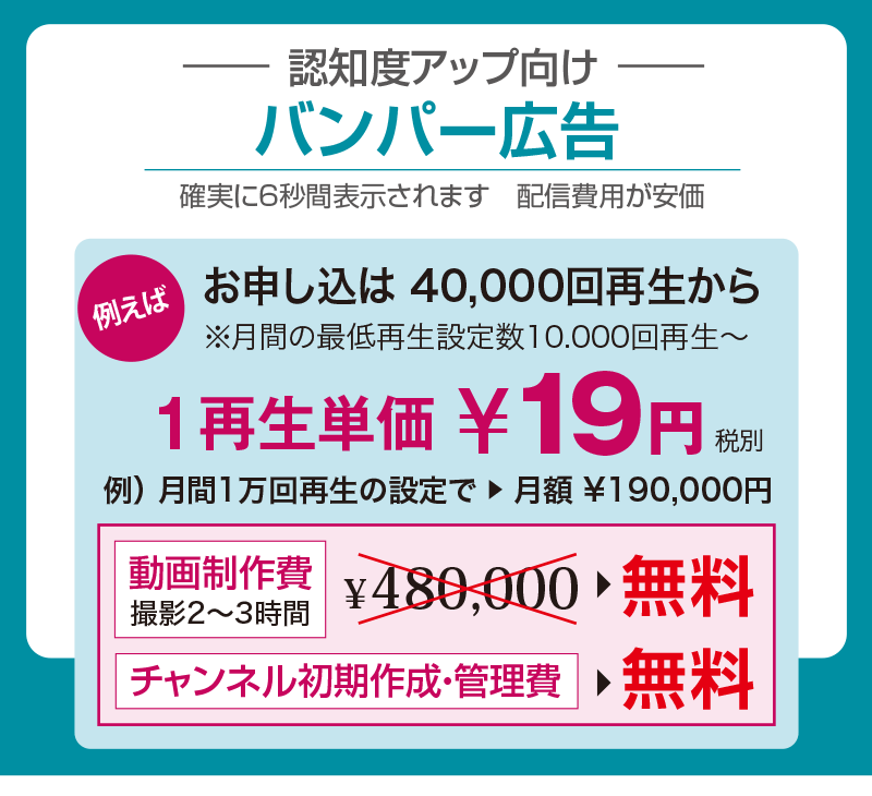 バンパー広告　確実に6秒間再生されます