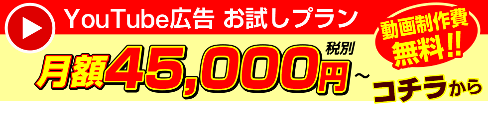 YouTube広告　お試しプラン　月額45,000円